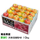 りんご こみつ 訳あり 風のいたずら 大きさおまかせ 10kg 究極の蜜入りりんご 青森県産 JA津軽みらい 林檎 リンゴ ギフト