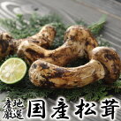 松茸 天然 まつたけ 国産 松茸 日本産 産地厳選 秀品 つぼみ～ひらき 大きさおまかせ 400g