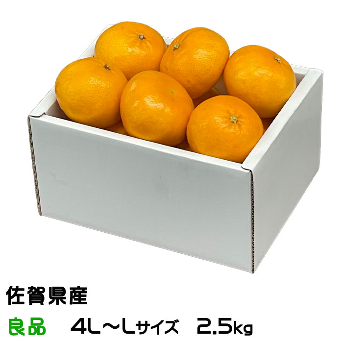 みかん みかん にじゅうまる 良品 4L～Lサイズ 2.5kg JAグループ佐賀 ギフト