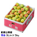 梅 紀州 南高梅 和歌山県産 秀品 3Lサイズ 5kg うめ 生梅