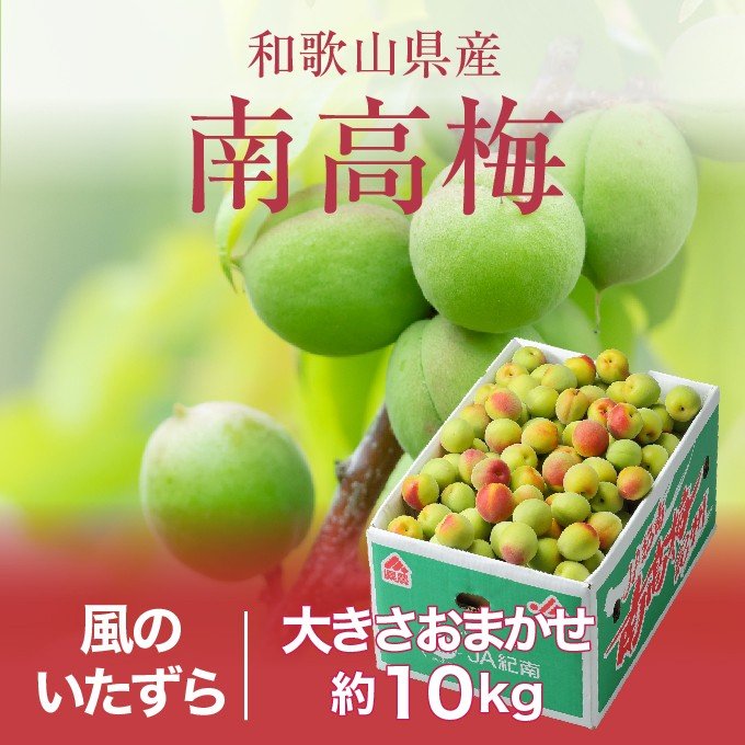 全国お取り寄せグルメ食品ランキング[南高梅(31～60位)]第52位