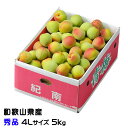 梅 紀州 南高梅 和歌山県産 秀品 4Lサイズ 5kg うめ 生梅