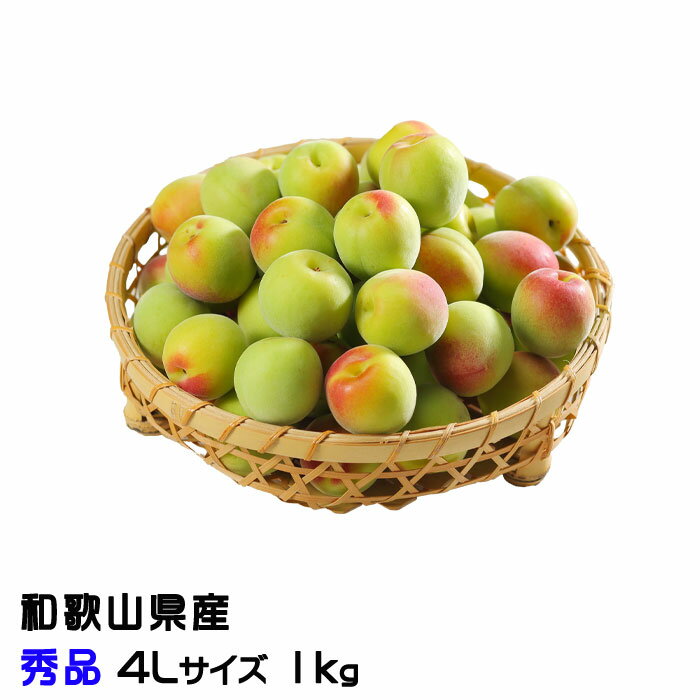 梅 紀州 南高梅 和歌山県産 秀品 4Lサイズ 1kg うめ 生梅