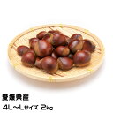 栗 中山栗 生栗 4L〜Lサイズ 2kg 愛媛県産 JAえひめ中央 くり クリ