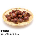 栗 中山栗 生栗 4L〜3Lサイズ 1kg 愛媛県産 JAえひめ中央 くり クリ