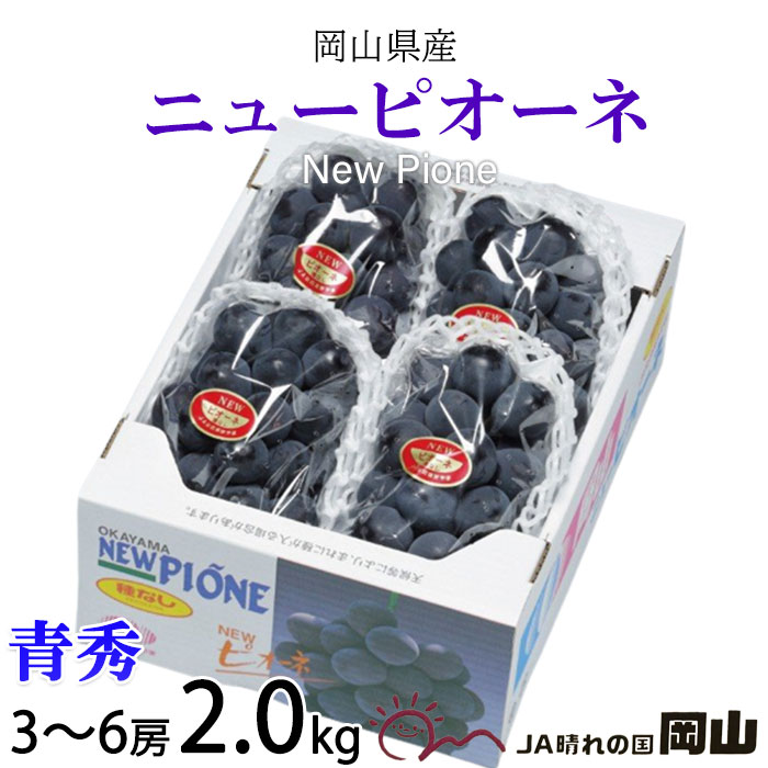 ぶどう ぶどう ニューピオーネ 青秀 3～6房 2kg 岡山県産 JAおかやま 葡萄 ブドウ お中元 父の日