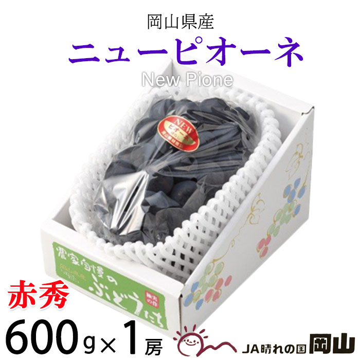 ぶどう ニューピオーネ 赤秀 600g×1房 岡山県産 JAおかやま 葡萄 ブドウ お中元 父の日