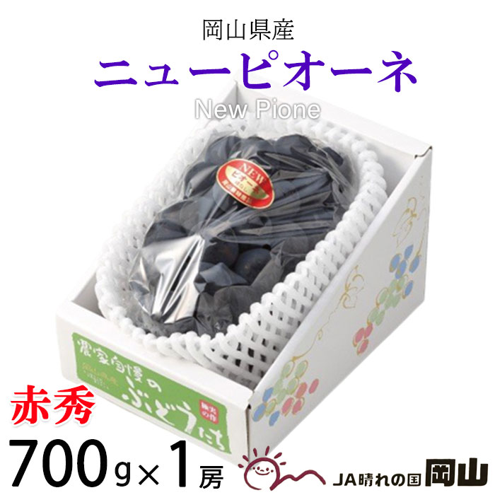 ぶどう ぶどう ニューピオーネ 赤秀 700g×1房 岡山県産 JAおかやま 葡萄 ブドウ お中元 父の日