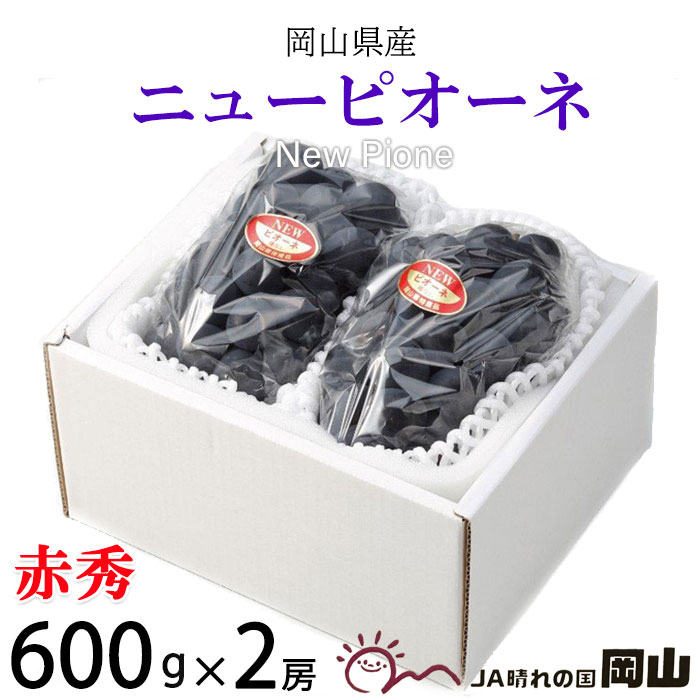 ぶどう ぶどう ニューピオーネ 赤秀 600g×2房 岡山県産 JAおかやま 葡萄 ブドウ お中元 父の日