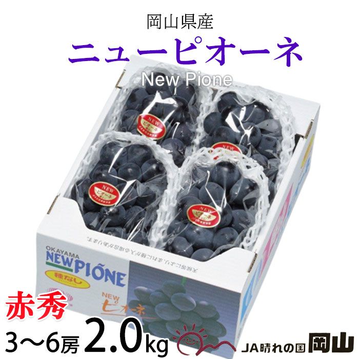 ぶどう ぶどう ニューピオーネ 赤秀 3～6房 2kg 岡山県産 JAおかやま 葡萄 ブドウ お中元 父の日