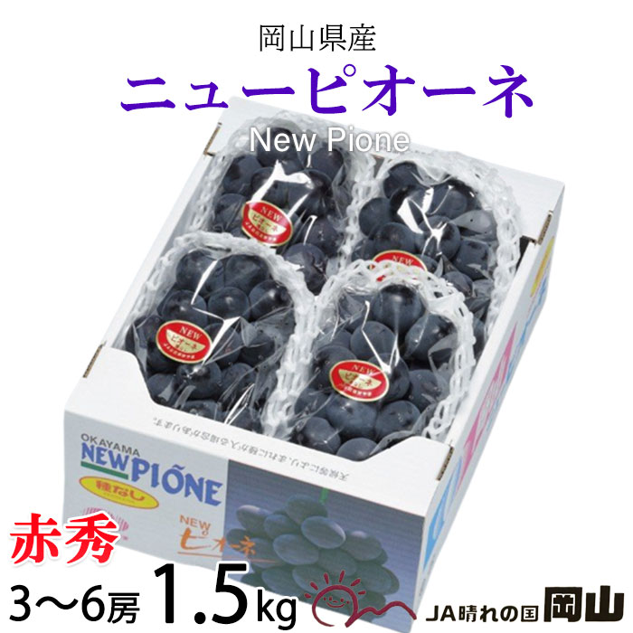 ぶどう ぶどう ニューピオーネ 赤秀 3～6房 1.5kg 岡山県産 JAおかやま 葡萄 ブドウ お中元 父の日