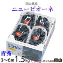 ぶどう ぶどう ニューピオーネ 青秀 3～6房 1.5kg 岡山県産 JAおかやま 葡萄 ブドウ お中元 父の日