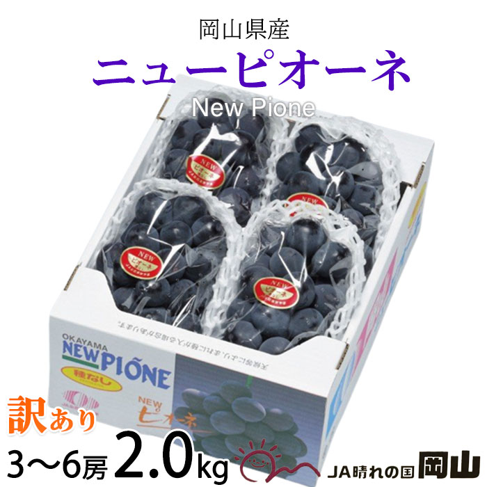 お中元 ぶどう ニューピオーネ 風のいたずら ちょっと訳あり 3〜6房 2kg 岡山県産 JAおかやま 葡萄 ブドウ 父の日のサムネイル