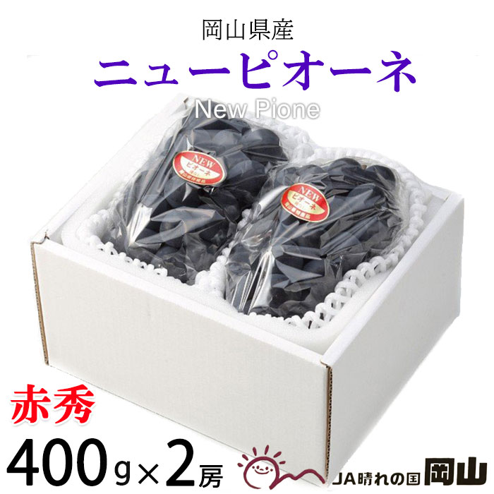 ぶどう ぶどう ニューピオーネ 赤秀 400g×2房 岡山県産 JAおかやま 葡萄 ブドウ お中元 父の日