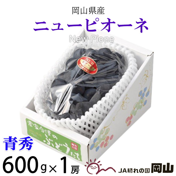 ぶどう ニューピオーネ 青秀 600g×1房 岡山県産 JAおかやま 葡萄 ブドウ お中元 父の日