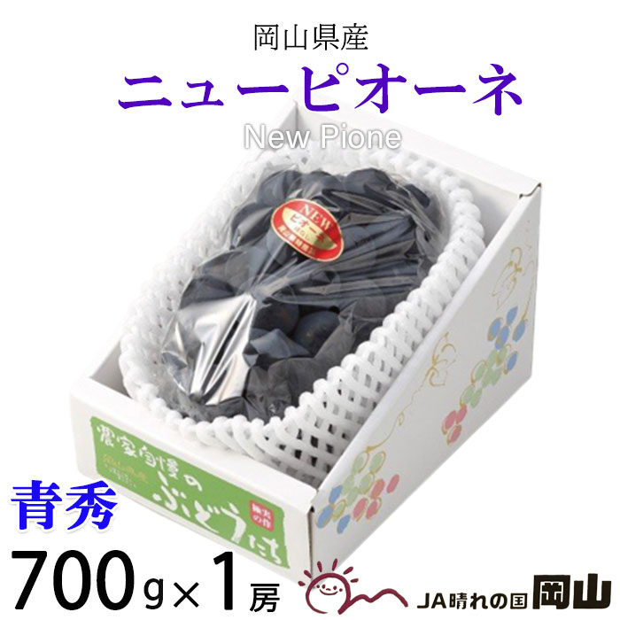 ぶどう ぶどう ニューピオーネ 青秀 700g×1房 岡山県産 JAおかやま 葡萄 ブドウ お中元 父の日