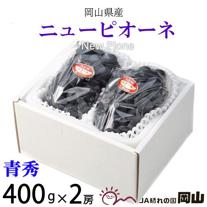 お中元 ぶどう ニューピオーネ 青秀 400g×2房 岡山県産 JAおかやま 葡萄 ブドウのサムネイル