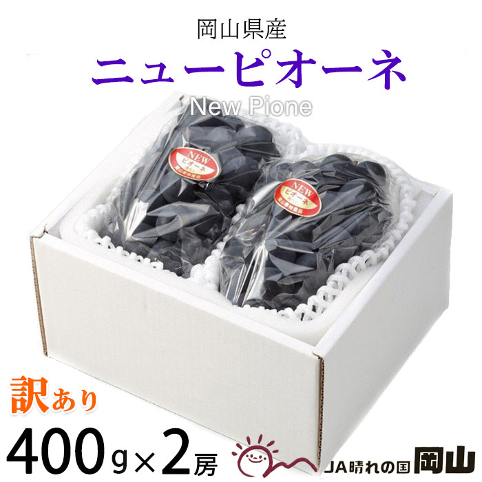 ぶどう ニューピオーネ 風のいたずら ちょっと訳あり 400g×2房 岡山県産 JAおかやま 葡萄 ブドウ お中元 父の日