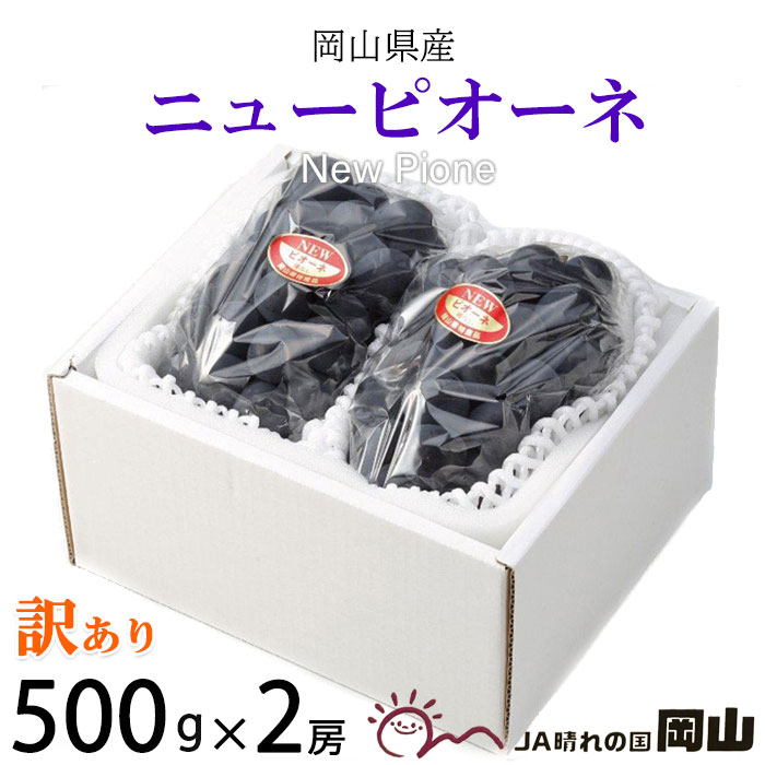 ぶどう ニューピオーネ 風のいたずら ちょっと訳あり 500g×2房 岡山県産 JAおかやま 葡萄 ブドウ お中元 父の日