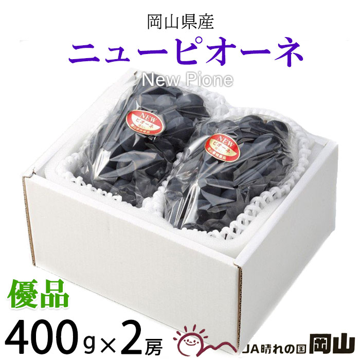 ぶどう ぶどう ニューピオーネ 優品 400g×2房 岡山県産 JAおかやま 葡萄 ブドウ お中元 父の日