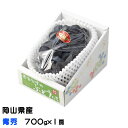 お中元 ぶどう ニューピオーネ 青秀 700g×1房 岡山県産 JAおかやま 葡萄 ブドウ