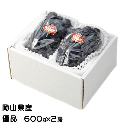 ぶどう ニューピオーネ 優品 600g×2房 岡山県産 JAおかやま 葡萄 ブドウ ぶどう ニューピオーネ 優品 600g×2房 岡山県産 JAおかやま 葡萄 ブドウ
