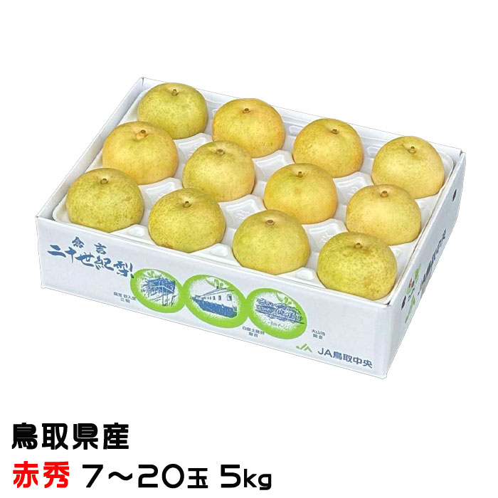 お歳暮 梨 20世紀梨 赤秀 7〜20玉 5kg 鳥取県産 なし ナシ