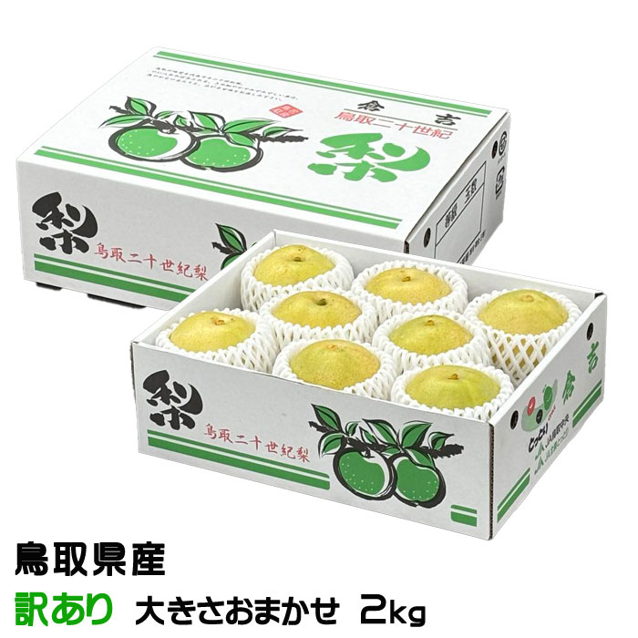 お歳暮 梨 20世紀梨 ちょっと訳あり 大きさおまかせ 2kg 鳥取県産 なし ナシ ギフト お取り寄せ