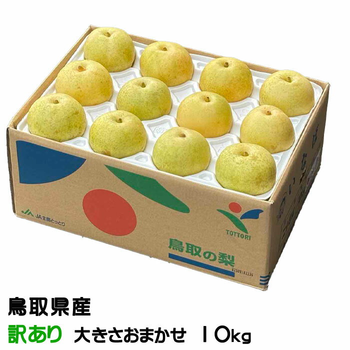   20 ä 礭ޤ 10kg Ļ踩 ʤ ʥ