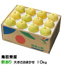 お歳暮 梨 20世紀梨 ちょっと訳あり 大きさおまかせ 10kg 鳥取県産 なし ナシ