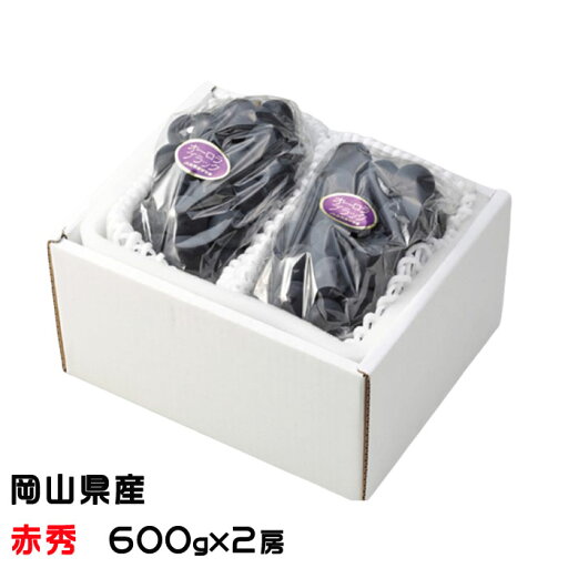 ぶどう オーロラブラック 赤秀 大粒 600g×2房 岡山県産 JAおかやま 葡萄 ブドウ ぶどう オーロラブラック 赤秀 大粒 600g×2房 岡山県産 JAおかやま 葡萄 ブドウ