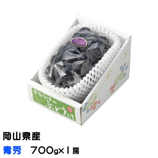 ぶどう オーロラブラック 青秀 大粒 700g 1房 岡山県産 JAおかやま 葡萄 ブドウ ぶどう オーロラブラック 青秀 大粒 700g 1房 岡山県産 JAおかやま 葡萄 ブドウ