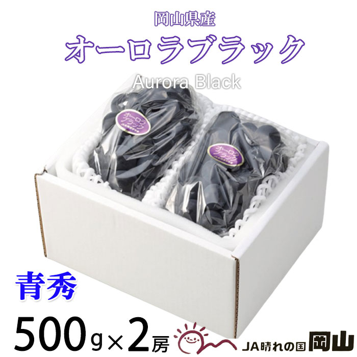 ぶどう オーロラブラック 青秀 大粒 500g×2房 岡山県産 JAおかやま 葡萄 ブドウ