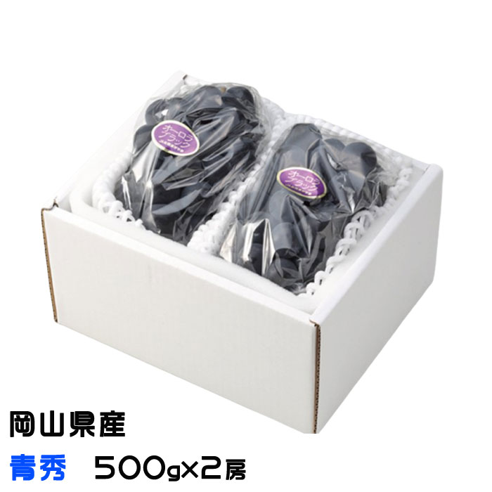 ぶどう オーロラブラック 青秀 大粒 500g×2房 岡山県産 JAおかやま 葡萄 ブドウ