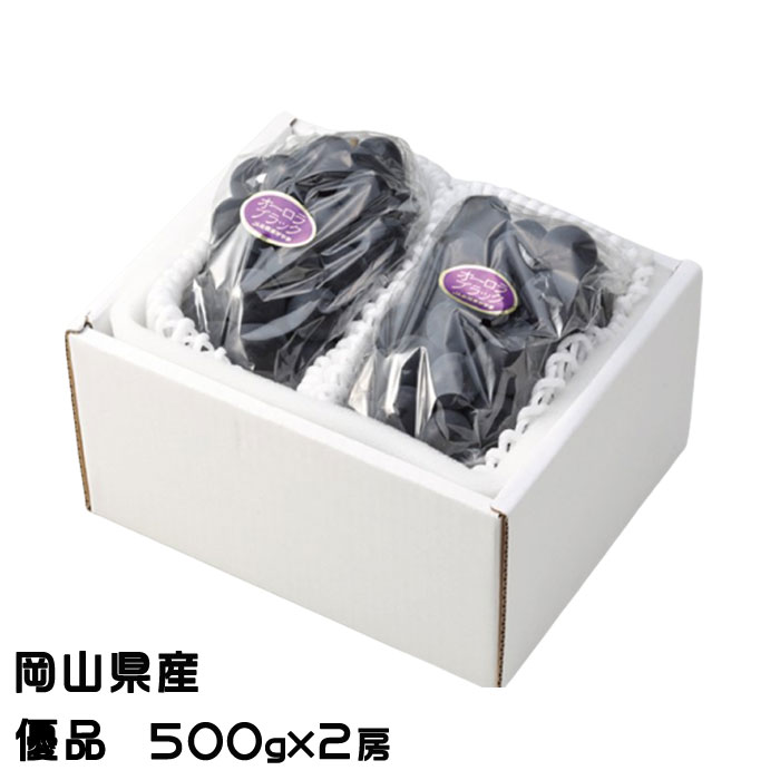 ぶどう オーロラブラック 優品 大粒 500g×2房 岡山県産 JAおかやま 葡萄 ブドウ