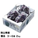 ぶどう オーロラブラック 優品 3〜6房 2kg 岡山県産 JAおかやま 葡萄 ブドウ