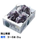 ぶどう オーロラブラック 青秀 3〜6房 2kg 岡山県産 JAおかやま 葡萄 ブドウ