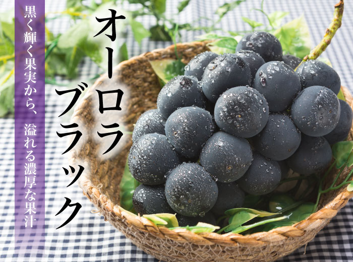 ぶどう オーロラブラック 優品 3〜6房 1.5kg 岡山県産 JAおかやま 葡萄 ブドウ