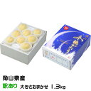 お歳暮 白桃 岡山冬桃がたり 風のいたずら ちょっと訳あり 大きさおまかせ 1.3kg 岡山県産 JA吉備路 桃 もも モモ ギフト