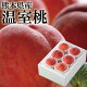 遅れてごめんね 父の日 2023 熊本県産 温室桃 秀品 4〜6玉 約1kg 桃 もも モモ おんしつもも