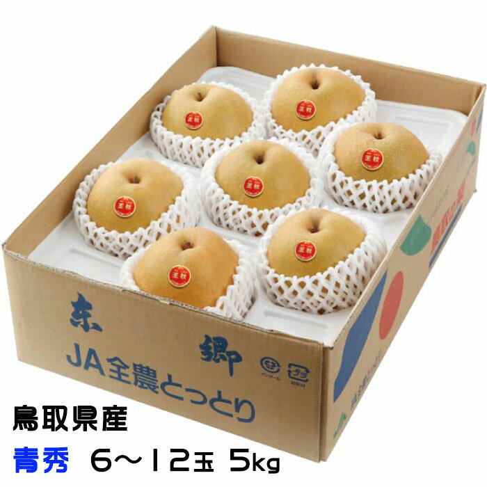    夦ʤ Ľ 612 5kg Ļ踩  ʥ ʤ ե 