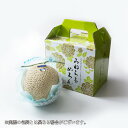 メロン プリンセスニーナ 秀品 1.4kg×1玉 アールスメロン 高知県産 JA高知県 ギフト