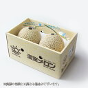 メロン プリンセスニーナ 秀品 1.2Kg×2玉 アールスメロン 高知県産 JA高知県 ギフト