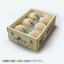 メロン プリンセスニーナ 秀品 8kg 5〜6玉 アールスメロン 高知県産 JA高知県 ギフト