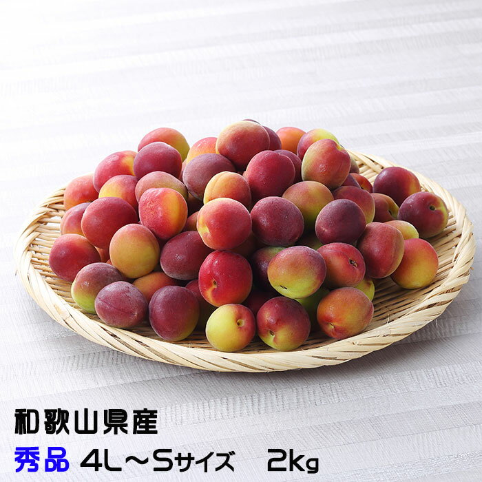 楽天市場】完熟 梅 4lの通販
