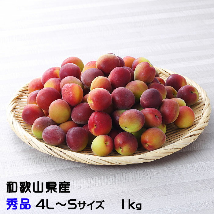 楽天市場】梅 無農薬 パープルの通販