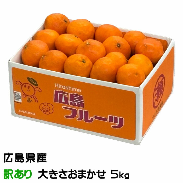 みかん プリンス清見 風のいたずら ちょっと訳あり 大きさおまかせ 5kg 広島県産 ギフト