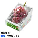 お中元 ぶどう クイーンニーナ 青秀 700g×1房 岡山県産 JAおかやま 葡萄 ブドウ