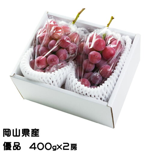 お中元 お中元 ぶどう クイーンニーナ 優品 400g×2房 岡山県産 JAおかやま 葡萄 ブドウ お中元 お中元 ぶどう クイーンニーナ 優品 400g×2房 岡山県産 JAおかやま 葡萄 ブドウ