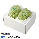 ぶどう 瀬戸ジャイアンツ 青秀 400g×2房 岡山県産 JAおかやま 葡萄 ブドウ